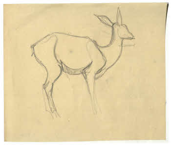 Visualizza l'immagine "FD D 246"